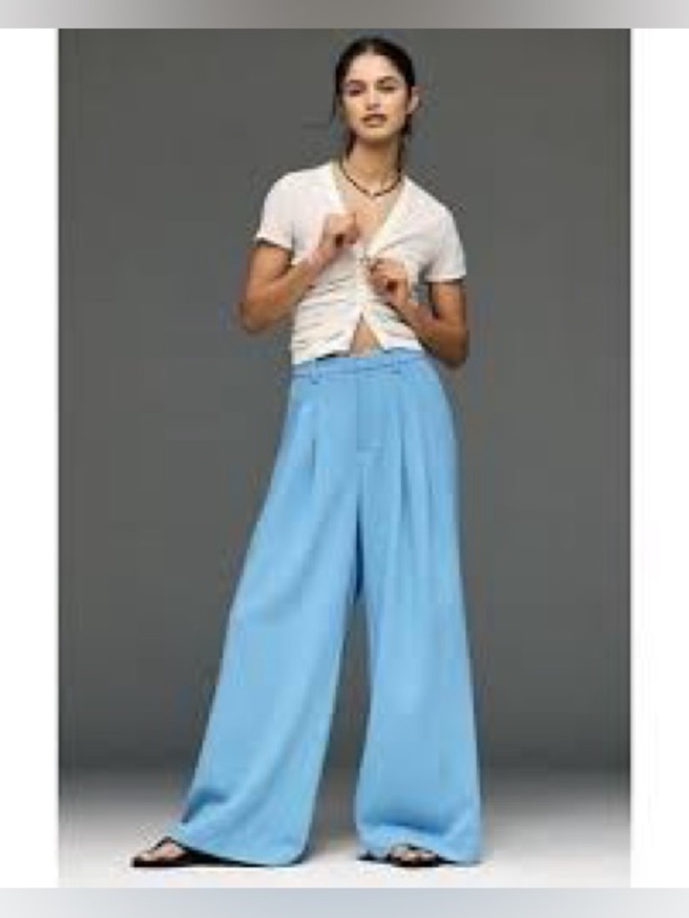 Anthropologie NWT Avery Wide-Leg Pleated Trousers by Maeve - M - Picture 5 of 16